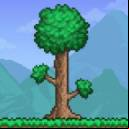 Terraria Apk V1.4.4.9.6 Free For Android