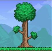 Terraria Apk V1.4.4.9.6  Free For Android