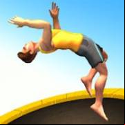 Flip Master Apk V2.6.60 Unlimited Money