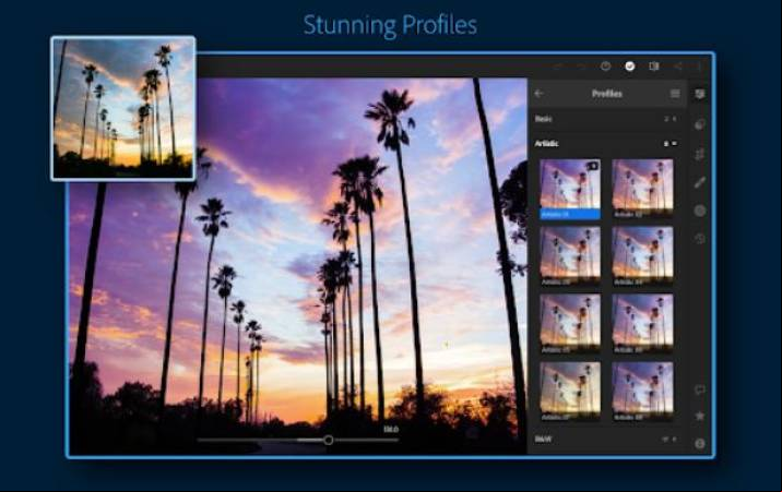 Lightroom Mod Apk