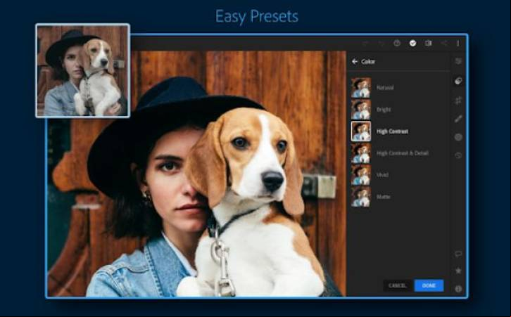 Lightroom Mod Apk