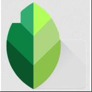 Snapseed Apk V2.21.0.566275366 Free  For Android